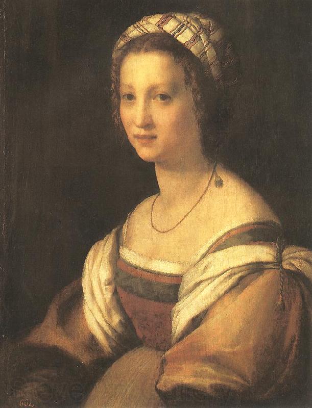Andrea del Sarto Portrait of the Artist s Wife Norge oil painting art